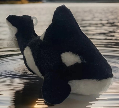 Sea world killerwal orca - sea,