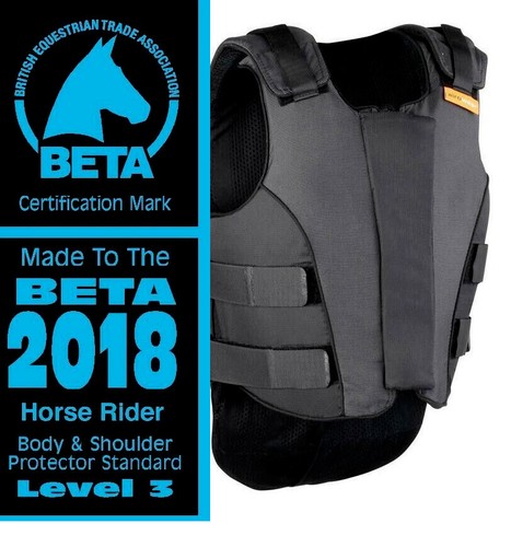2018 regs large short - large,