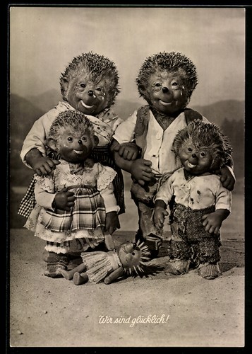 Igel mecki mit - igel,