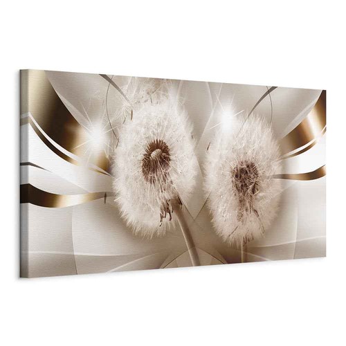 Blumen pusteblume pflanzen - blumen,