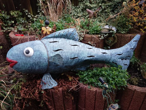Nur abholung großer fisch - !!!,