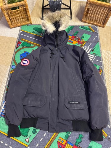 Canada goose chilliwack - goose,