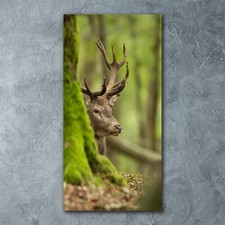 Wand-Bild Kunstdruck aus