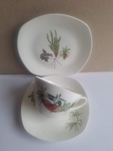 Midwinter plant life - plant, tasse