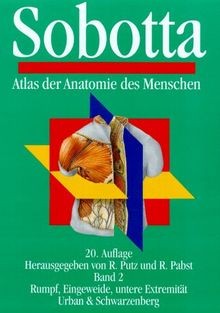 Atlas der anatomie - der, des