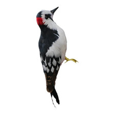 Spechtfigur Am Baumstamm