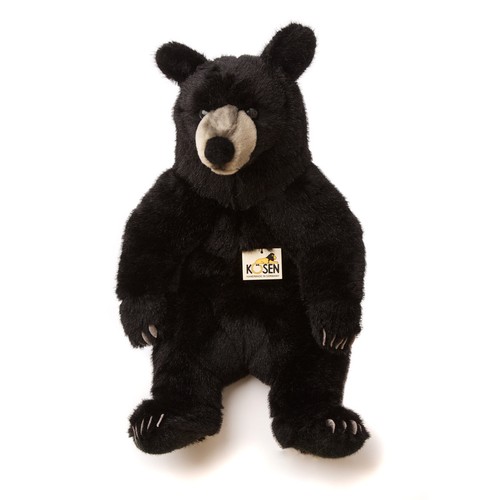 Schwarzer bär von - bär,