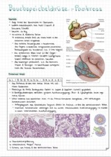 Lernzettel Examen MTLA Labor