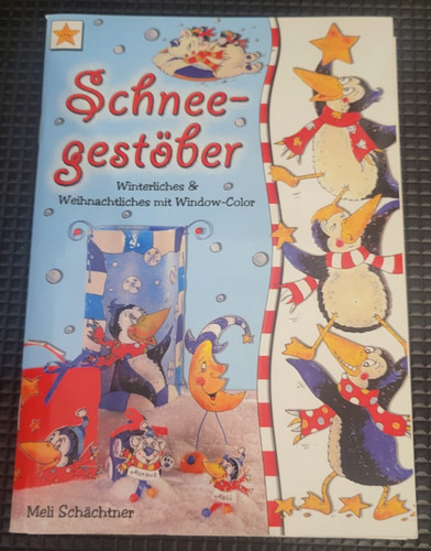 Schneegestöber winterliches - -,