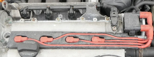 Polo 6n2 lupo - 6n2,