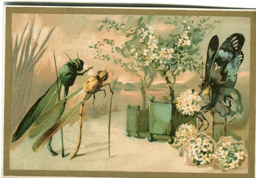 Glanzbilder scraps karte litho - scraps,