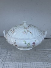 Wedgewood Campion