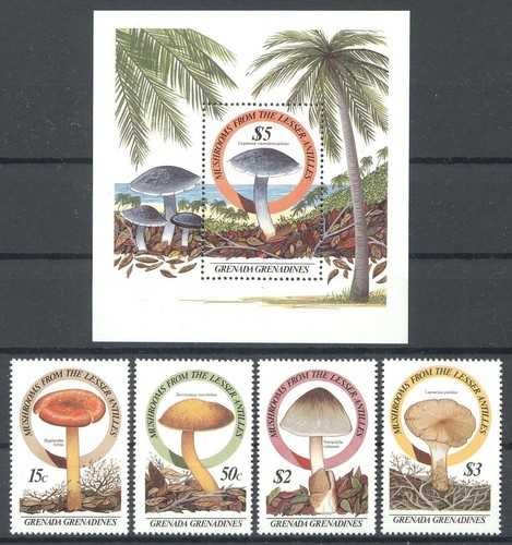 Pilze mushrooms grenada - -,