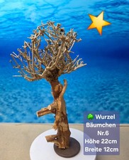 Aquarium wurzel bonsai - 🌳aquarium,