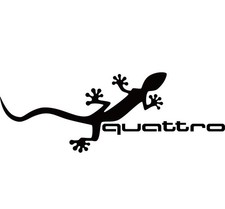 Audi quattro gecko gekko auto - gekko,