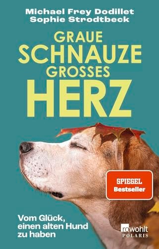 Graue schnauze großes - graue, herz