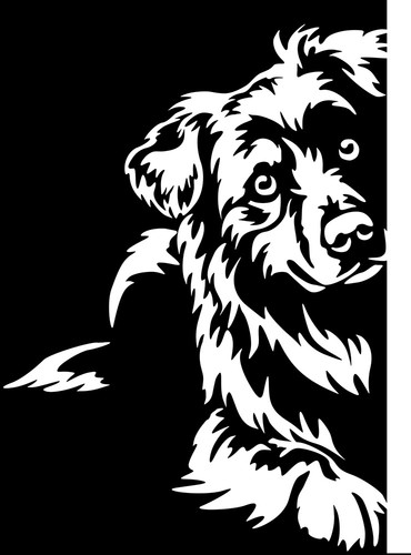 Australian shepherd aufkleber - shepherd,