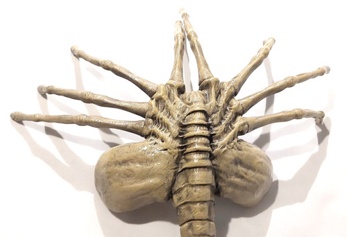 Facehugger aus alien 1 - facehugger, 1/1