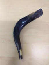 Widderhorn Bockhorn Schofar, Judentum, mit MeisterStempel