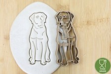 Hund Labrador Retriever ganz