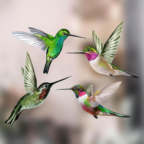 Vogelaufkleber für