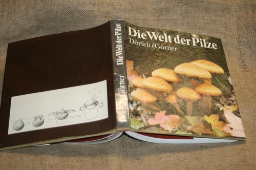 Fachbuch pilzkunde aufbau - pilzkunde,