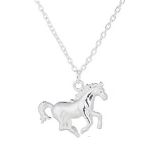 Kinder Schmuck Silber Kette Pferd Fohlen Halskette Mädchen Gliederkette Horse