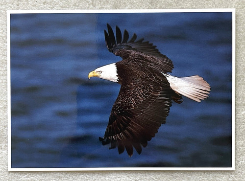 Postkarte amerikanischer - 1,