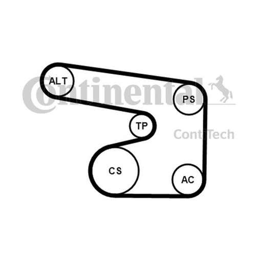Continental ctam 6pk1900k1 - ctam,