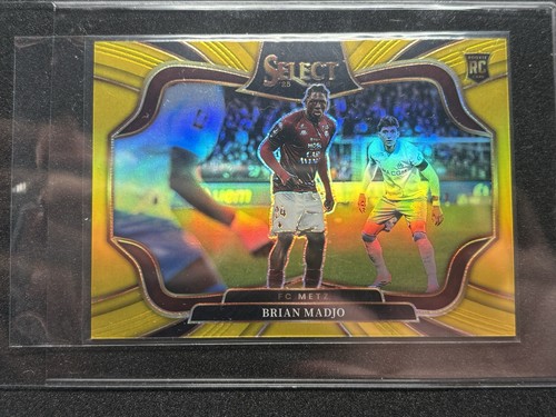 Panini select 2025 - 2025-26, —