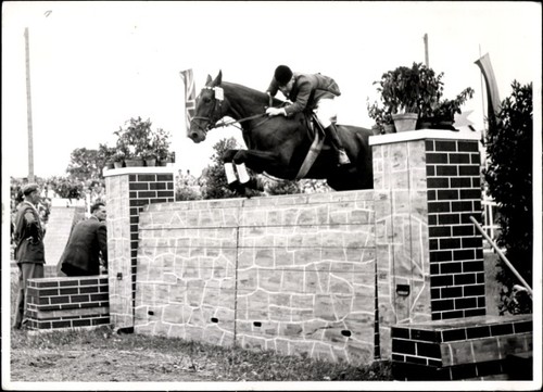 Foto springreiten sprung - foto, springreiten,
