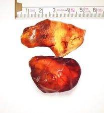 2er Set herrliche, baltische Roh-Bernsteine, super klar   76,5 ct.