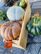 Exklusive Holzkiste ~ Fichte