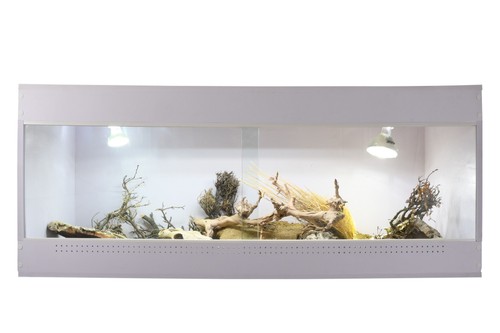Lucky reptile isotarrium basic - lucky,