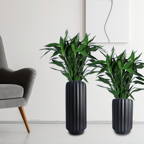 Hohe bodenvase ideal als - bodenvase,