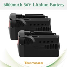 2X 6000mAh 36V Li-ion Akku