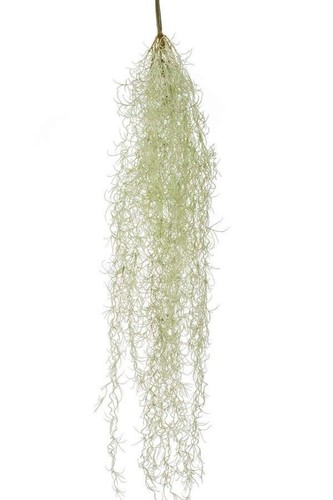 Artplants kunstpflanze - artplants,