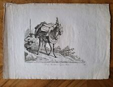 Kupferstrich Arbeitspferd- Pferd nach rechts stehend von Johann Elias Ridinger