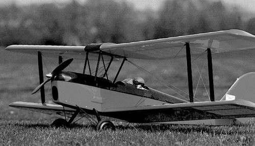 Bauplan tiger moth - bauplan,