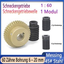 Schneckenräder Worm