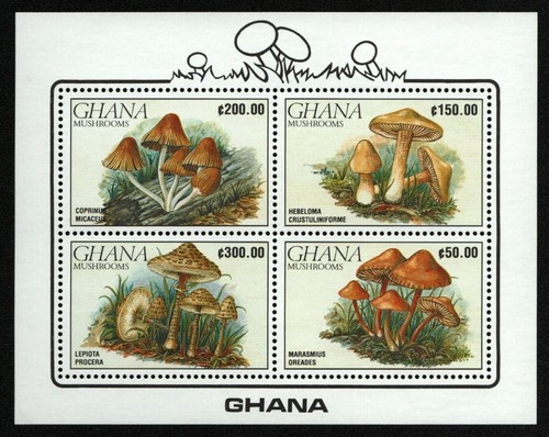 Ghana 1990 block 165 - ghana, mi-nr.