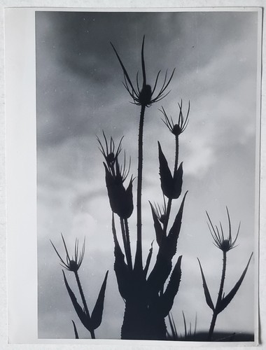 Vintage fotografie erich - fotografie,
