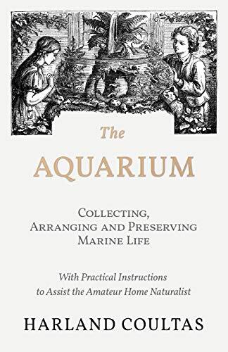 The aquarium collecting - aquarium,
