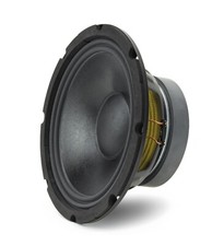 Subwoofer Doppelschwingspule