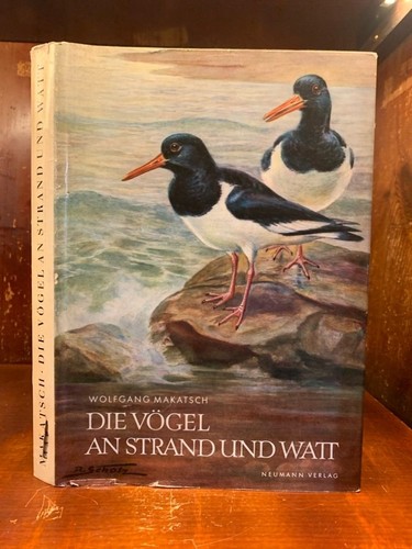 Die vögel strand - strand, watt