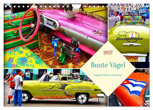Bunte vögel originelle - -,