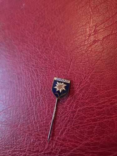 Alte anstecknadel souvenir - anstecknadel,
