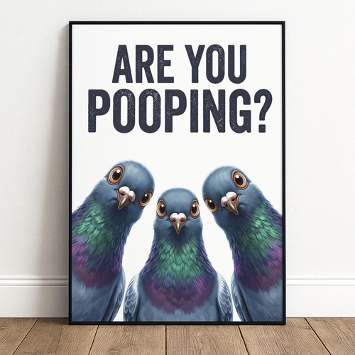 Tauben poster lustig - poster,