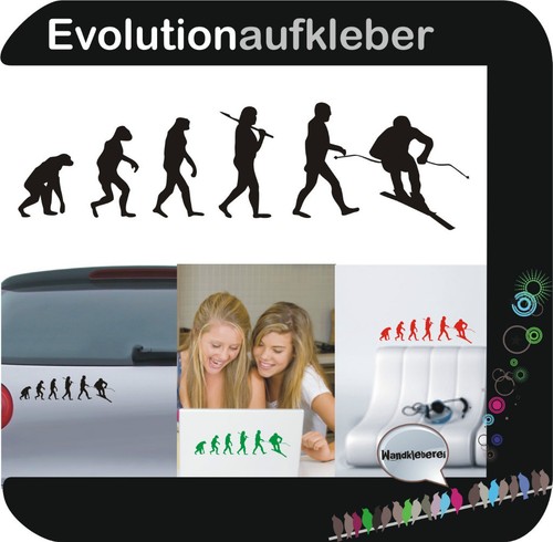 Ski skifahrer evolution - skifahrer,