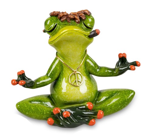 Formano herr frosch beim yoga - herr,